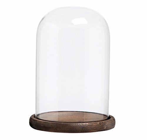 Elegant bell jars with a classic design, featuring a clear glass dome and a sturdy base. The bell jars are ideal for showcasing and preserving items, adding a refined and sophisticated touch to any display or decor.