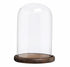 Elegant bell jars with a classic design, featuring a clear glass dome and a sturdy base. The bell jars are ideal for showcasing and preserving items, adding a refined and sophisticated touch to any display or decor.