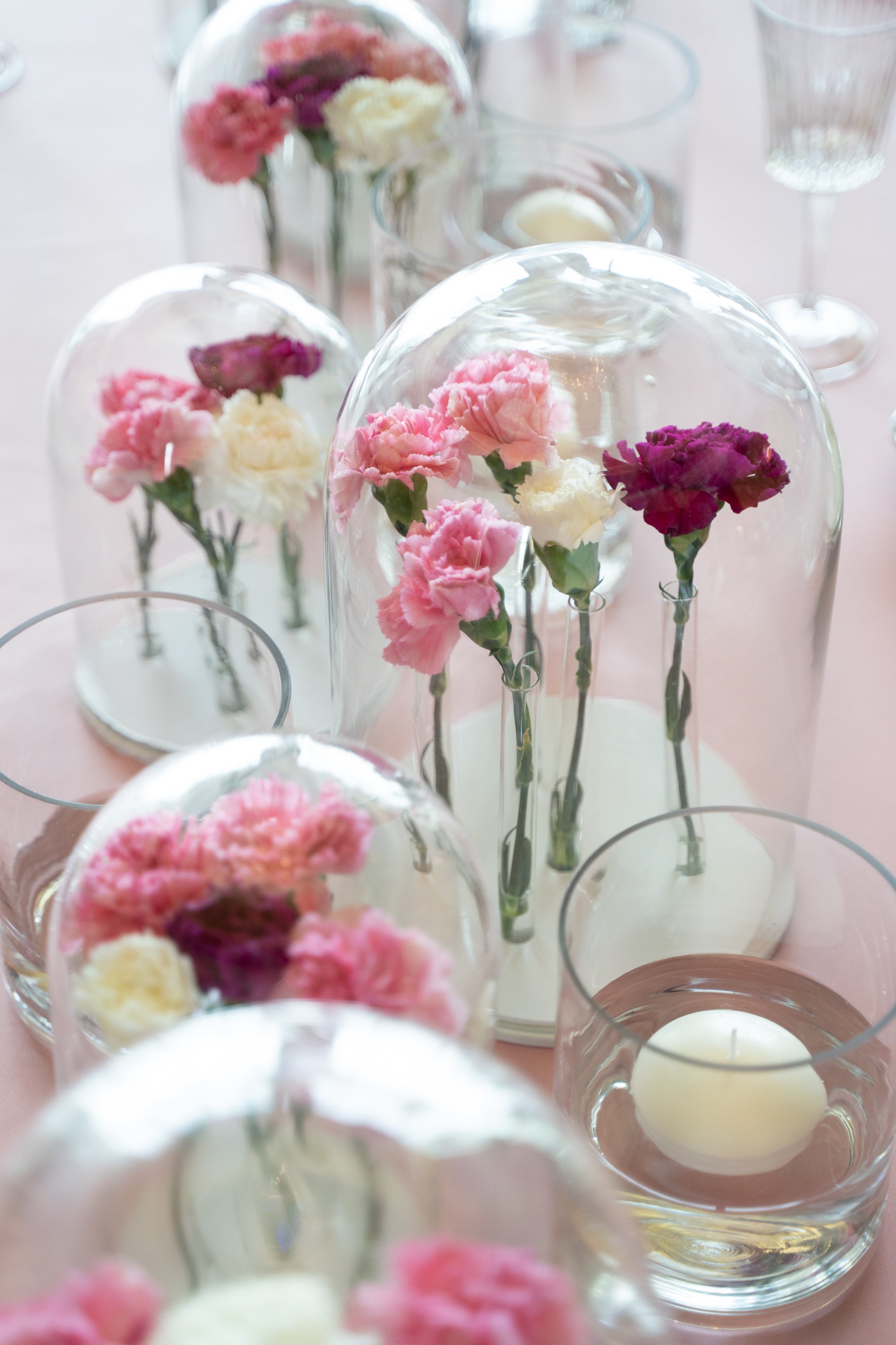 Elegant bell jars with a classic design, featuring a clear glass dome and a sturdy base. The bell jars are ideal for showcasing and preserving items, adding a refined and sophisticated touch to any display or decor.