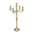 Elegant candelabra with multiple arms for holding candles, designed to add a touch of sophistication and ambient lighting to any setting.
