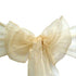 Elegant organza chair sash in champagne, featuring a delicate, sheer fabric with a subtle, shimmering finish. The champagne hue adds a touch of warmth and sophistication, perfect for enhancing any seating arrangement.
