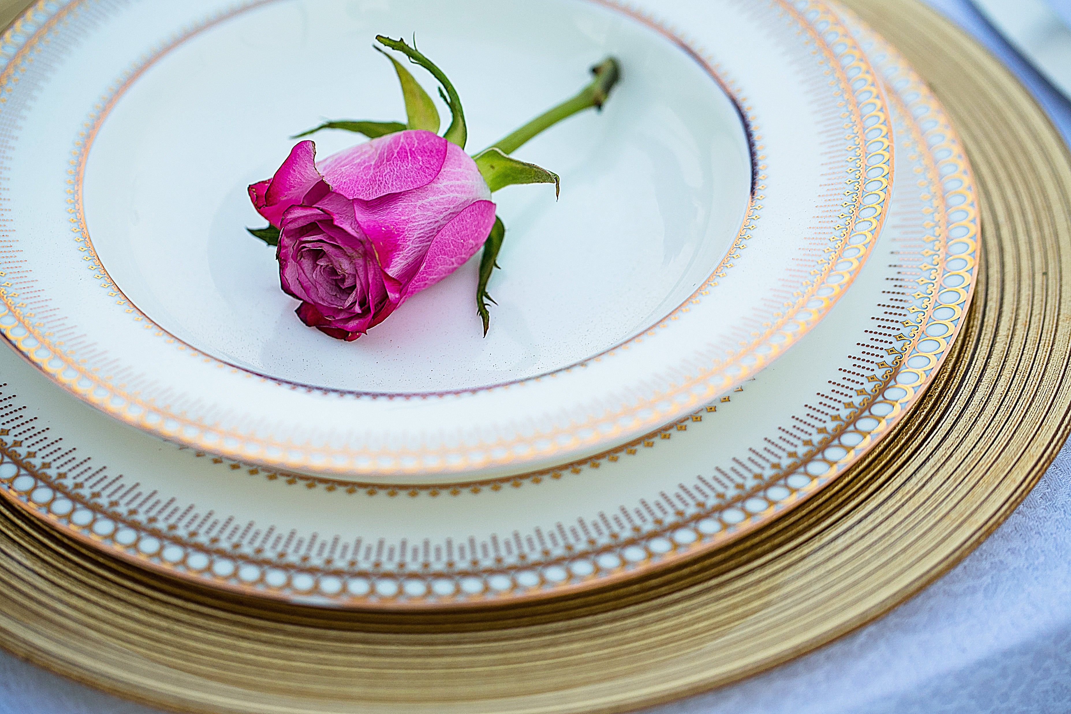 Classic China gold plates with a refined design and a rich gold rim, offering a touch of elegance and luxury to your table setting for special occasions or everyday dining.